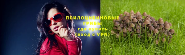 метадон Алексеевка
