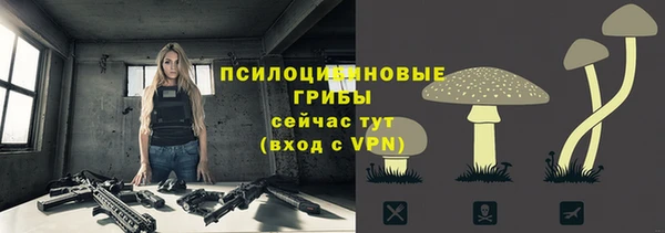 шишки Абдулино